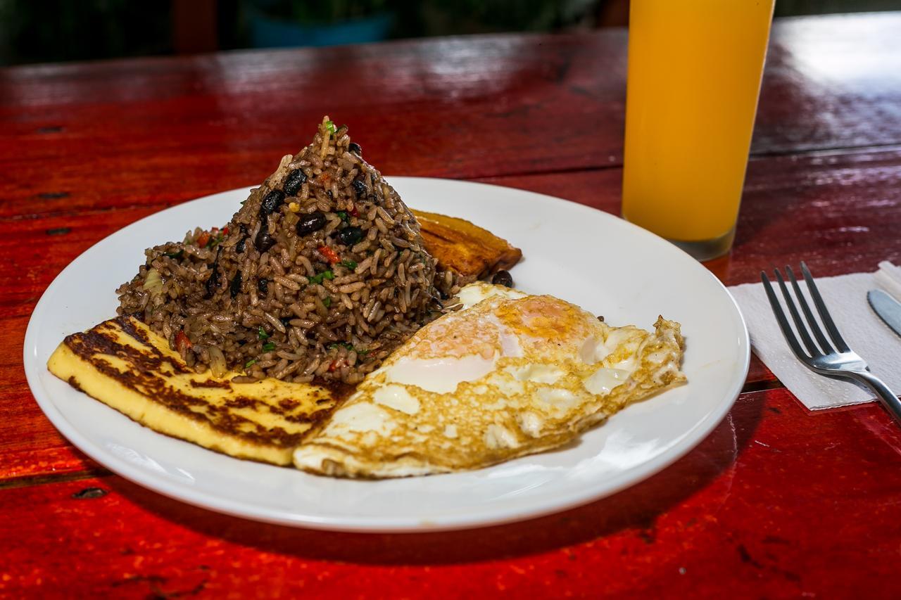 Arenal Container Hostel La Fortuna Dış mekan fotoğraf