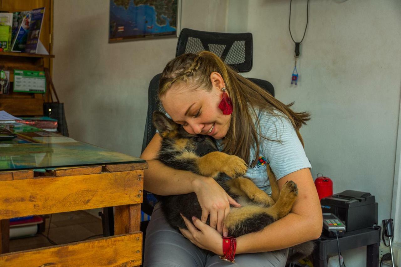 Arenal Container Hostel La Fortuna Dış mekan fotoğraf