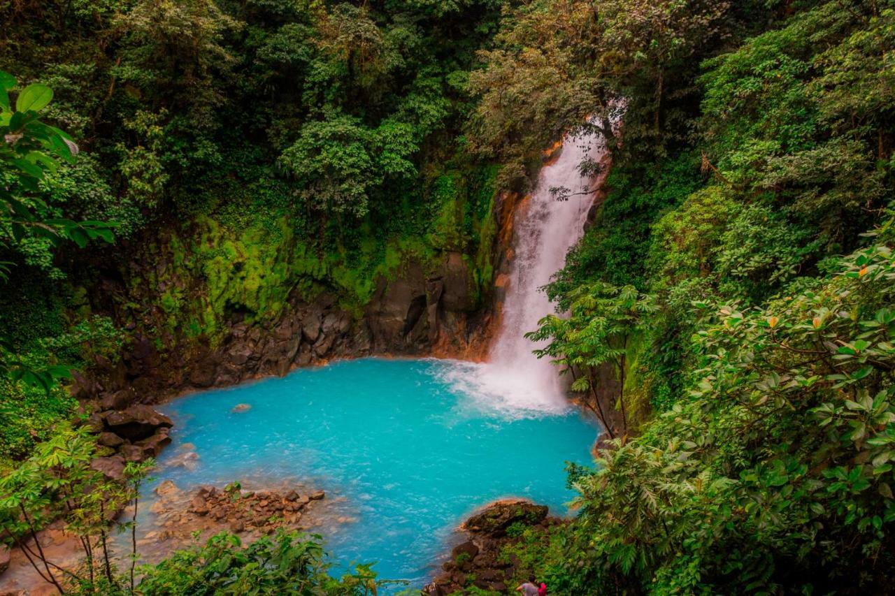 Arenal Container Hostel La Fortuna Dış mekan fotoğraf