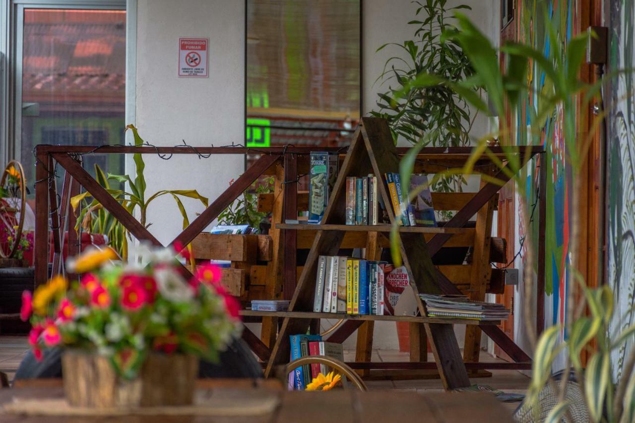 Arenal Container Hostel La Fortuna Dış mekan fotoğraf